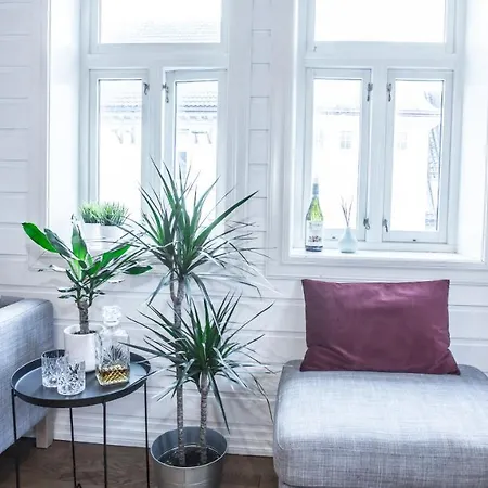 Bergen Central City Apartments * 베르겐